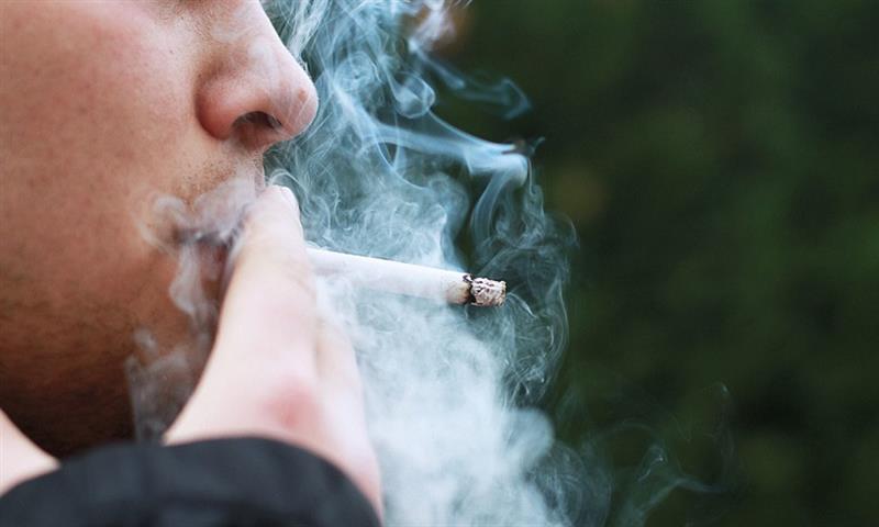 دراسة حديثة: تدخين السجائر كل يوم يقلل من حجم الدماغ مع تقدم العمر