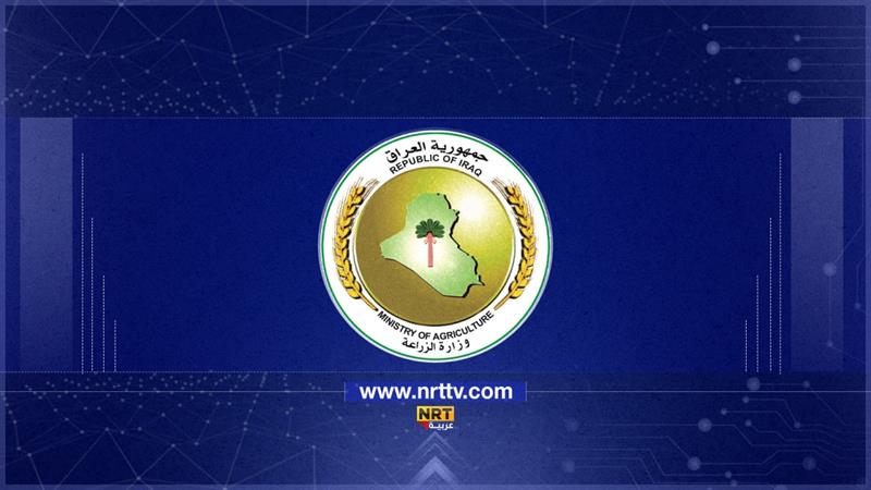 وزارة الزراعة: العراق يقترب من القضاء على الحمى القلاعية بالكامل