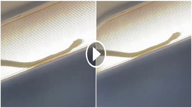فيديو: لاثارته الرعب.. ثعبان يجبر طائرة ماليزية على الهبوط