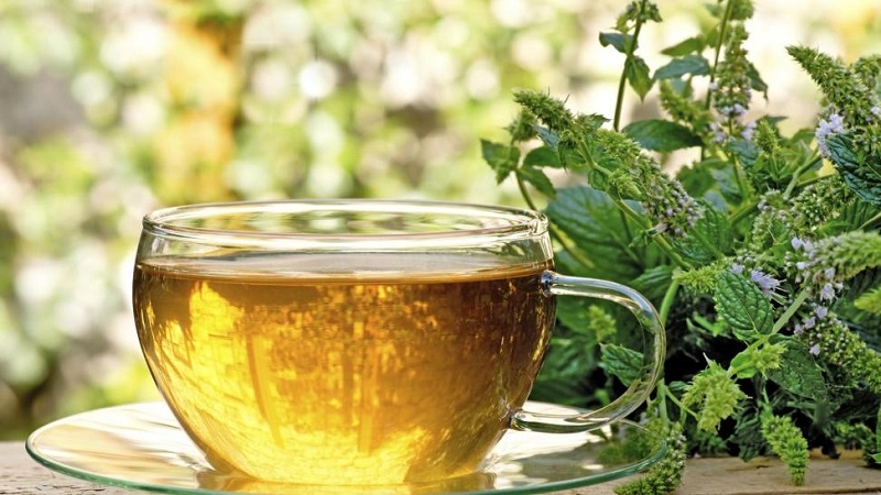 تحذير من تناول الشاي الأخضر يوميا

