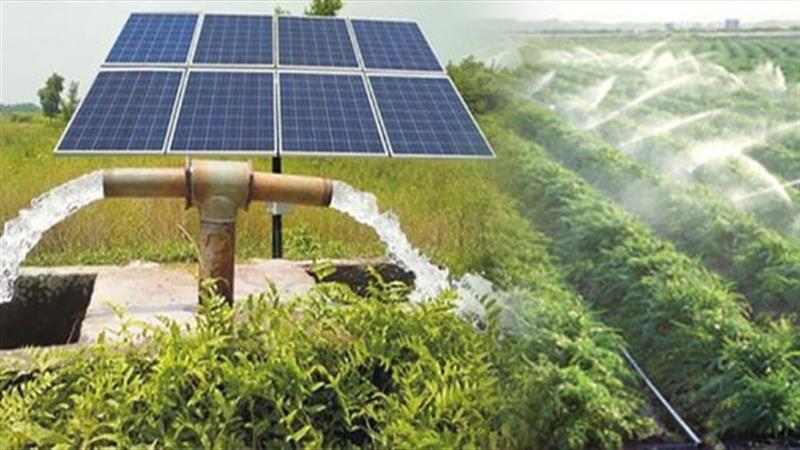 لجنة الزراعة: تحلية المياه في الأهوار بالطاقة المتجددة
