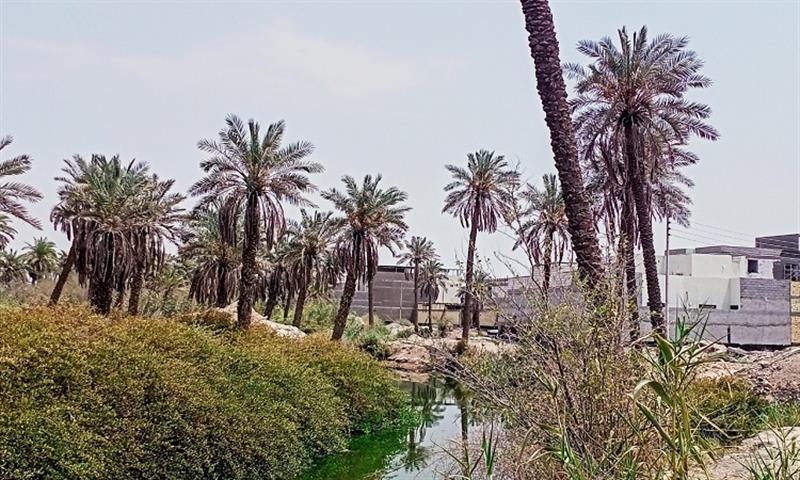 توسع البصرة عمرانيا يؤثر على مقاطعات قضاء شط العرب
