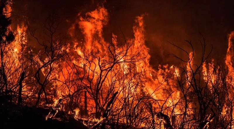 الحماية المدنية الجزائرية: إخماد 20 حريقا في الغابات بولاية بجاية خلال الـ 24 ساعة الماضية
