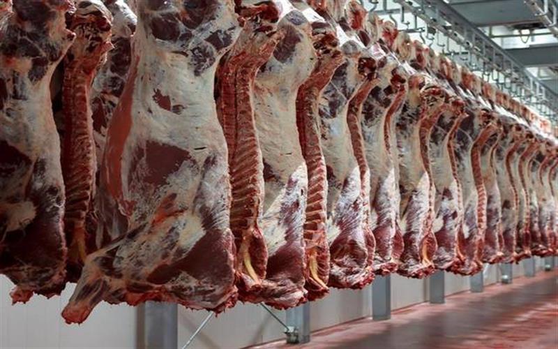 الزراعة: أسعار اللحوم ستعاود الإنخفاض
