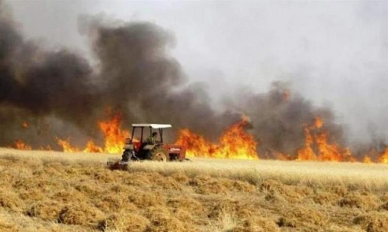 إنقاذ 1700 دونم من محصول الحنطة من الحرائق في صلاح الدين