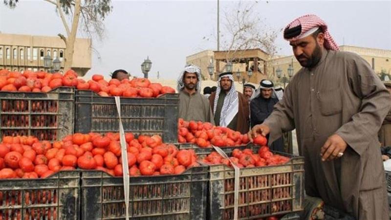 اقليم كوردستان يحظر استيراد الطماطم الى اشعار اخر