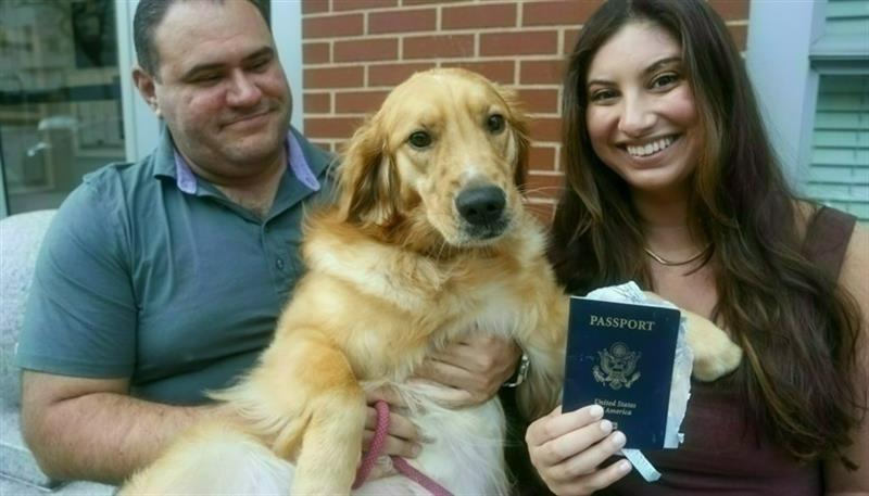 بالفيديو.. كلب يلتهم جواز سفر صاحبه مفسدا شهر زفافه

