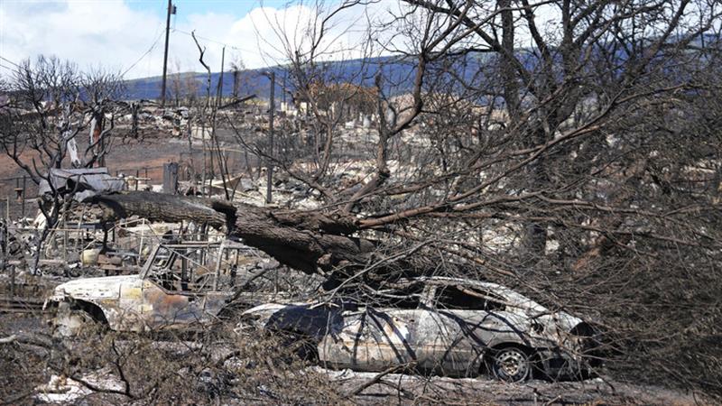 دمرت بلدة بالكامل.. 1100 شخص مفقود في حرائق هاواي
