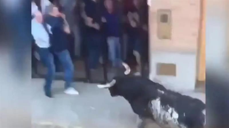 بالفيديو.. ثور هائج يوجه 