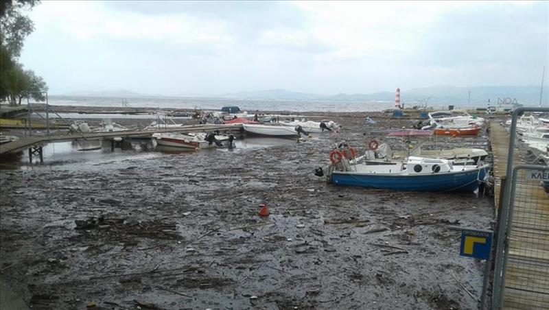 وفاة 16 شخص جراء الأمطار الغزيرة في جزيرة إيفيا اليونانية
