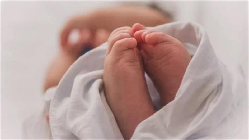 نحو 160 ألف و843 حالة ولادة خلال العام الماضي في إقليم كوردستان
