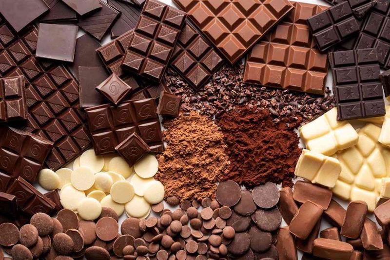 فوائد صحية ومخاطر سمية للكاكاو في الشوكولاتة
