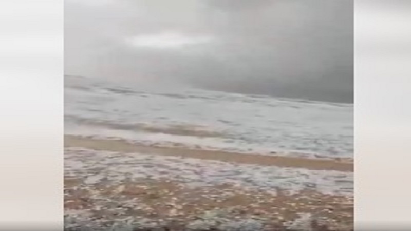 بالفيديو.. الثلج يكسو الصحراء لاول مرة جنوب 'مطروح' المصرية
