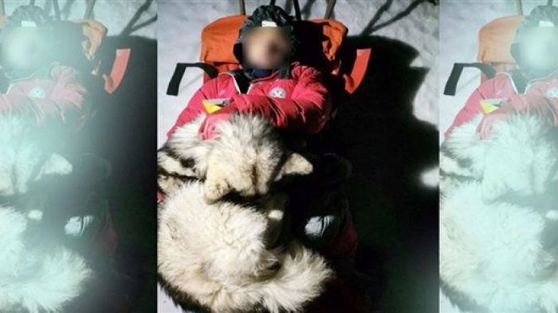 كلب ينقذ رجلا من الموت لمدة 13 ساعة (صور)