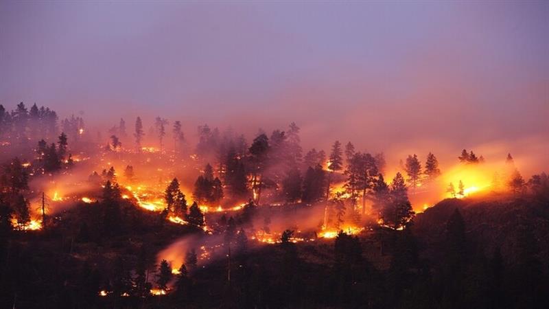 بسبب حرائق الغابات.. مطالبات بإجلاء 400 شخص من سكان منطقة شمالية في اليابان
