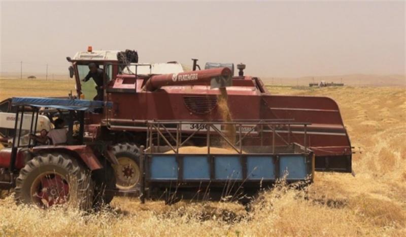 بغداد تحدد كميات الحنطة المستلمة من اقليم كوردستان
