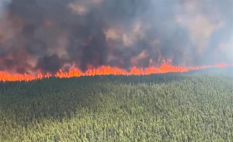 ستة أشخاص فقدوا حياتهم جراء حرائق الغابات في إحدى الولايات الأمريكية