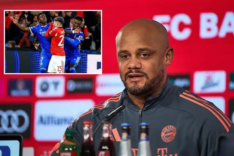 کۆمپانی هاوسۆزی بۆ ڤینیسیۆس دەردەبڕی 

