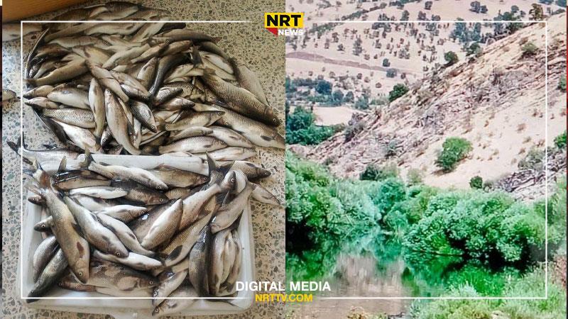 لە شارباژێڕ سێ هاوڵاتی بە تۆمەتی ڕاوکردنی ماسی بە تەقەمەنی دەستگیرکران


