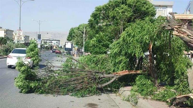 پلەکانی گەرما نزمتر دەبنەوە؛ بای بەهێز تا کەی بەردەوام دەبێت؟
