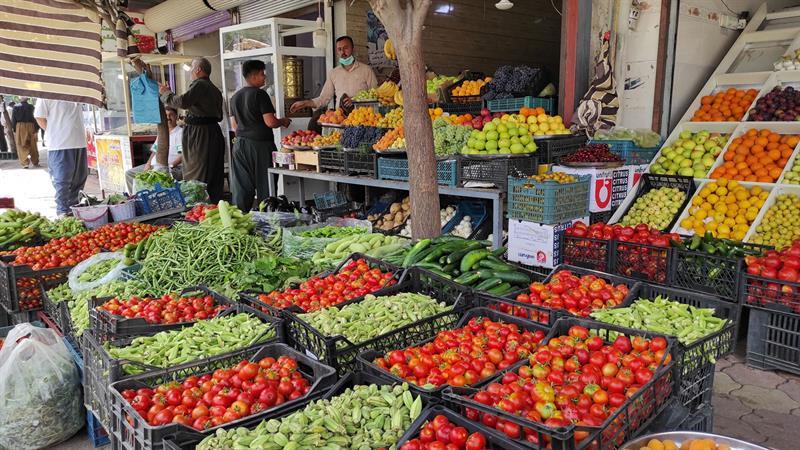 کشتوکاڵی عێراق ٤٠ به‌رهه‌می هاورده‌كراوی راگرت