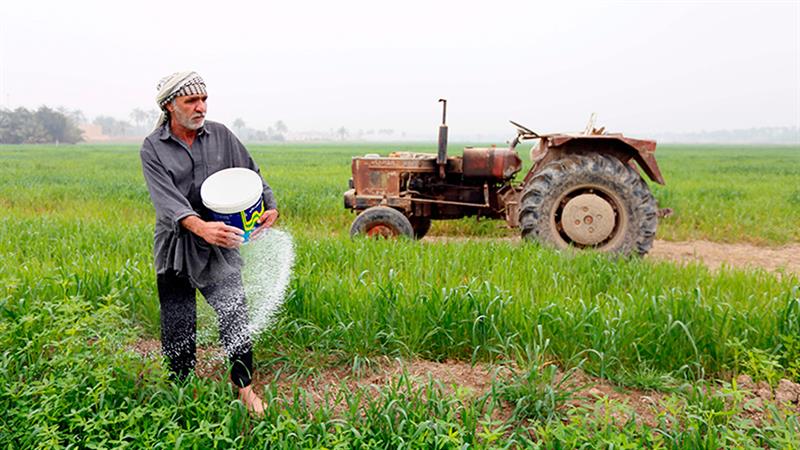 کشتوکاڵی عێراق نرخی چەندین خزمەتگوزاری بۆ جوتیاران کەم دەکاتەوە

