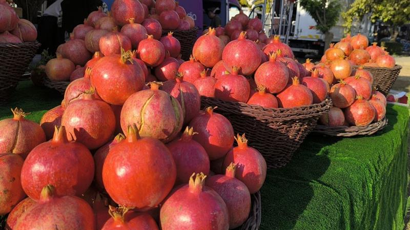 یانزەهەمین فێستیڤاڵی هەنار و پایزی هەڵەبجە بەڕێوە دەچێت

