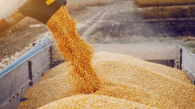 عێراق لەبارەی ناردنی سەرجەم شایستە داراییەکانی جوتیارانی هەرێم بڕیاریدا


