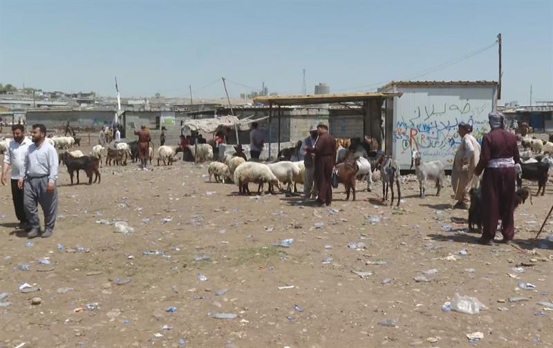 لەبارەی قوربانی کردن چەند بڕیارێک درا