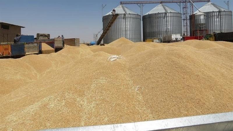 وادەی وەرگرتنی گەنمی جوتیارانی هەرێم ئاشکراکرا