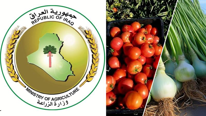 هاوردەکردنی تەماتە و پیاز دەستپێدەکاتەوە