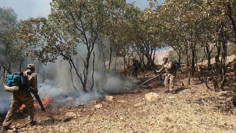 لە سنووری شارباژێڕ ٢٠ دۆنم پوش و پاوان و رەزوباخ سووتا
