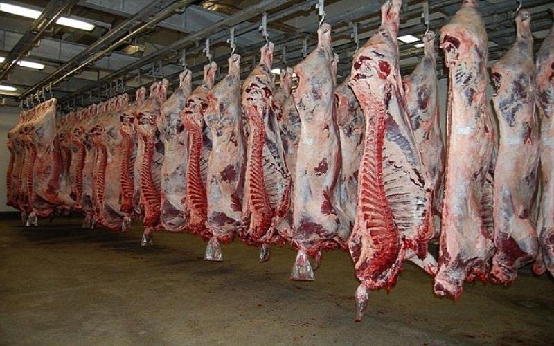 کوشتارگەی هەولێر: رێژەی قوربانیکردن لە یەکەم رۆژی جەژندا کەمترە لە پار

